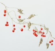 black-bryony-2