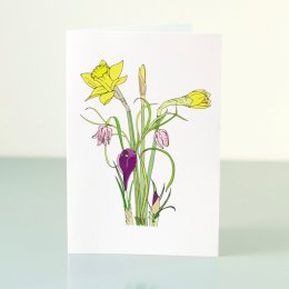 1_February-Flowers