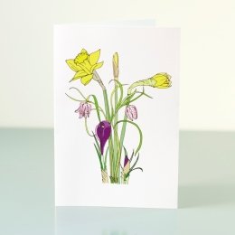1_February-Flowers