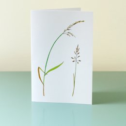 2-Chalkland-Grasses