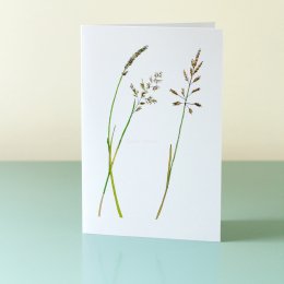 3-Chalkland-Grasses