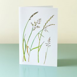 5-Chalkland-Grasses