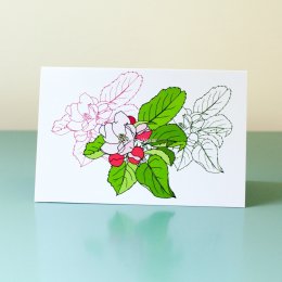 Apple-Blossom