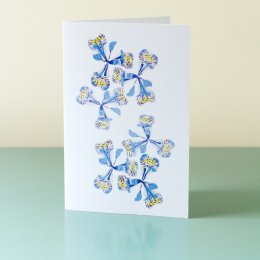 Iris-Reticulata