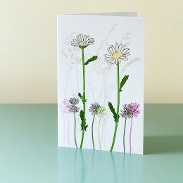 Meadow-Flower