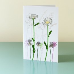 Meadow-Flower