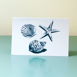 Stackpole-Shells
