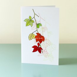 Virginia-Creeper