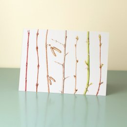 Winter-Twigs