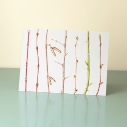 Winter-Twigs