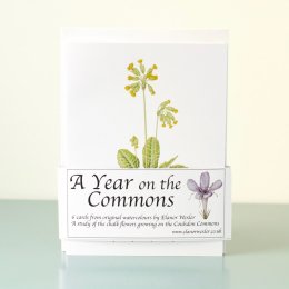 Year-On-The-Commons-Pack-of-6-cards
