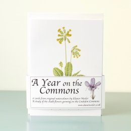 Year-On-The-Commons-Pack-of-6-cards