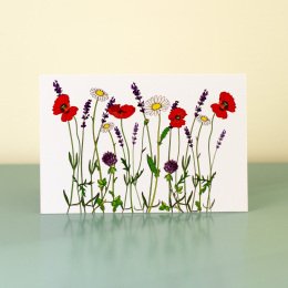 summer-meadow-3