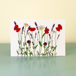 summer-meadow-3