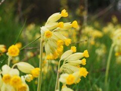IMG_3431