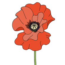 Poppy-2