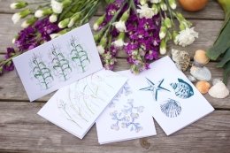 Selection of cards