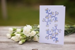 Iris card