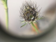 IMG_5360