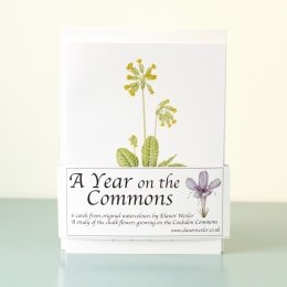 Year-On-The-Commons-Pack-of-6-cards